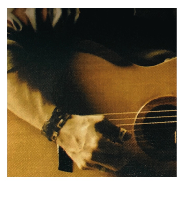 German Herlein — guitar detail